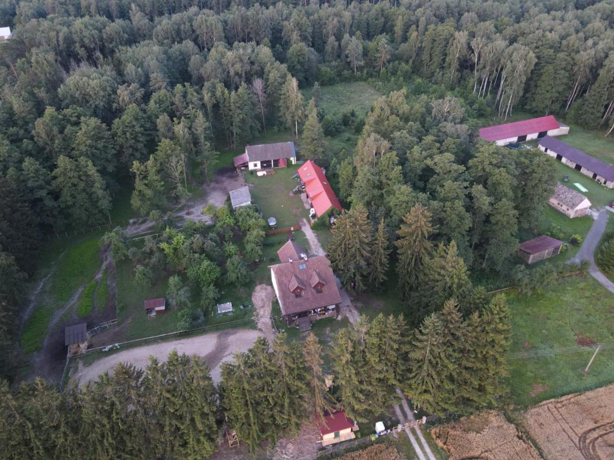 Kurnik Polski Agroturystyka Tykocin Eksteriør bilde