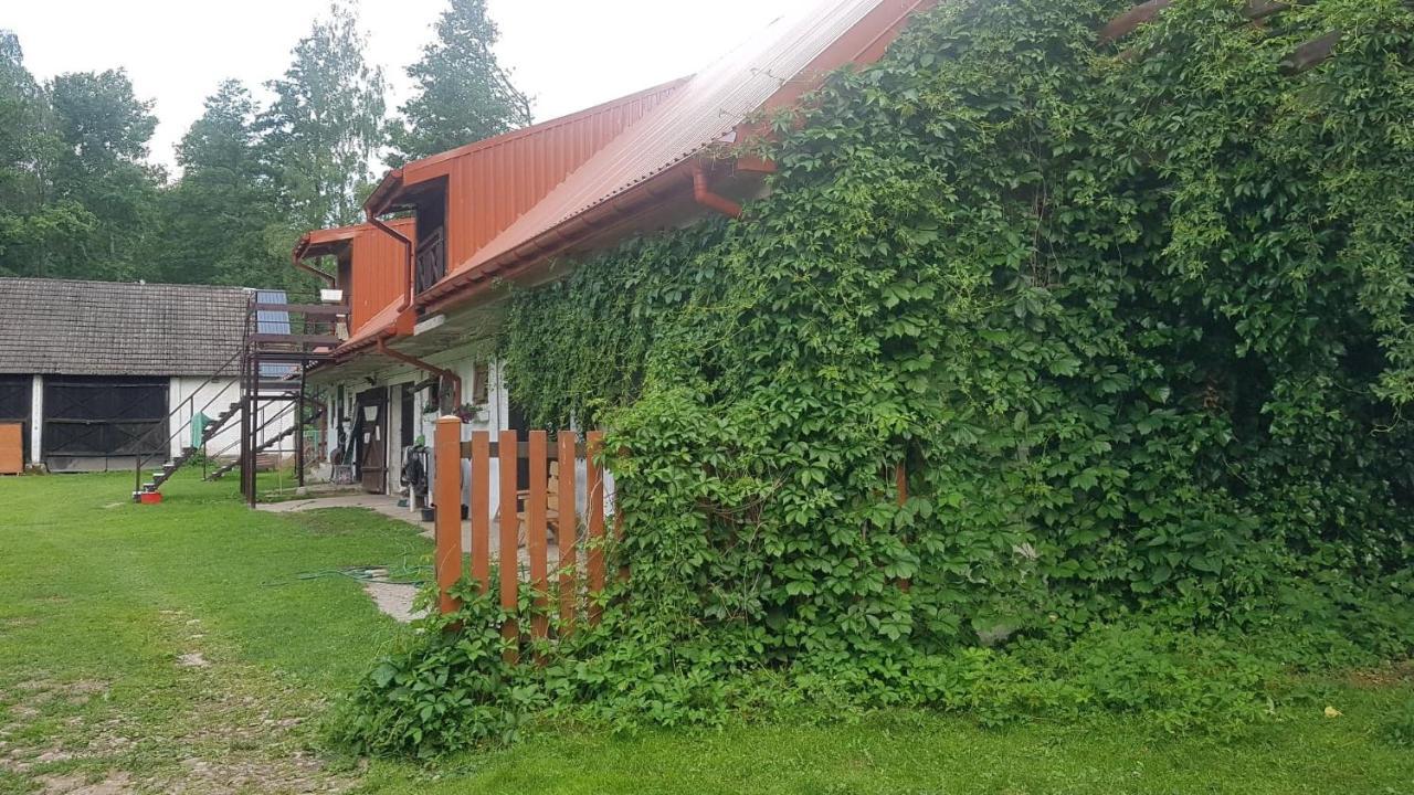 Kurnik Polski Agroturystyka Tykocin Eksteriør bilde