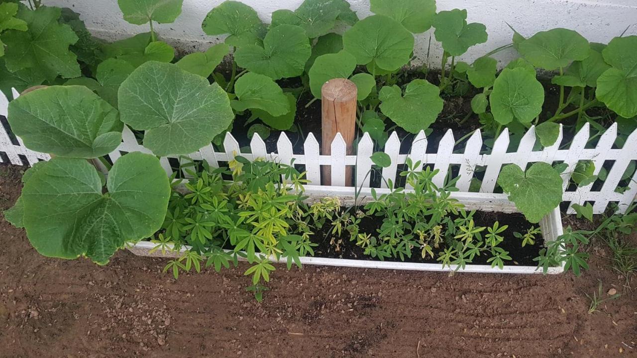 Kurnik Polski Agroturystyka Tykocin Eksteriør bilde