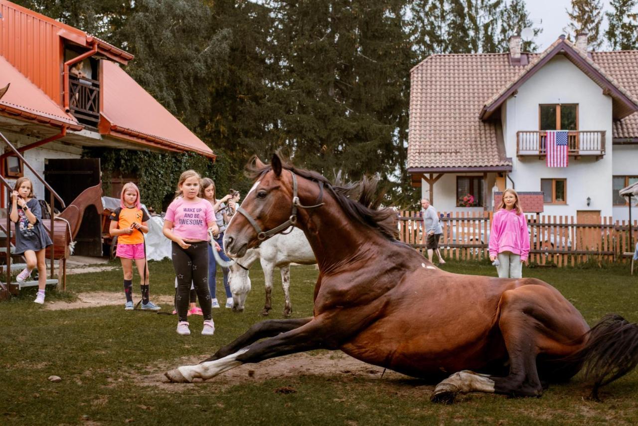 Kurnik Polski Agroturystyka Tykocin Eksteriør bilde