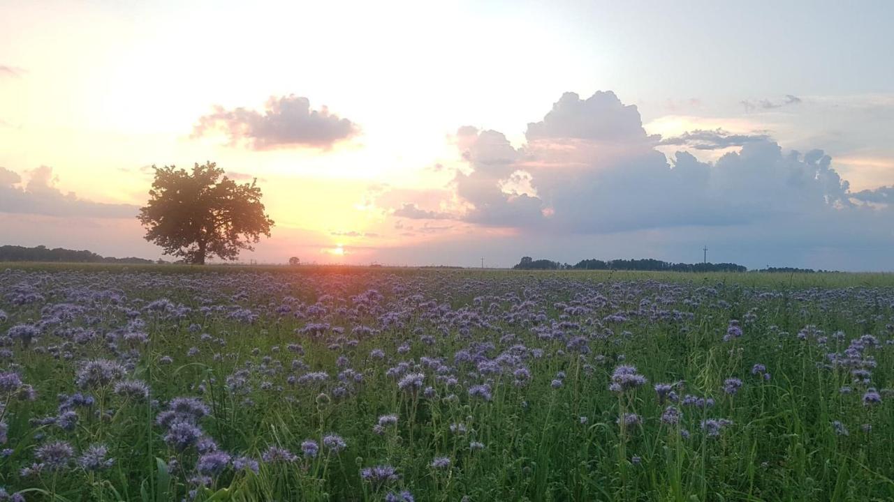 Kurnik Polski Agroturystyka Tykocin Eksteriør bilde
