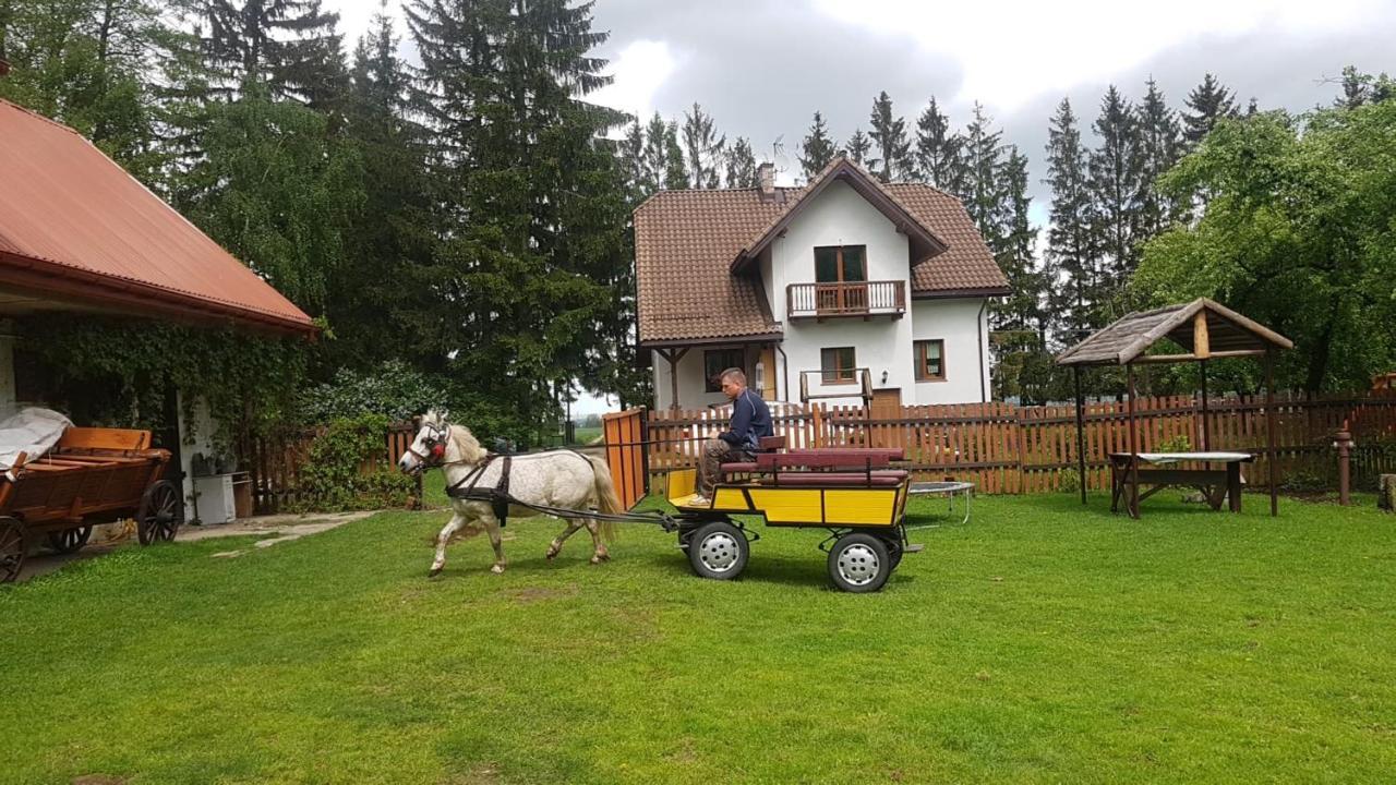 Kurnik Polski Agroturystyka Tykocin Eksteriør bilde